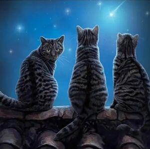 Lisa parker metal cat sign